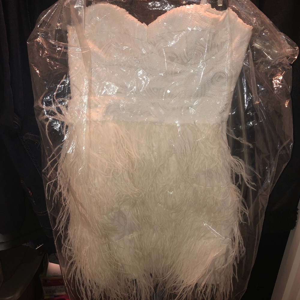 bebe dress